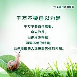 自以为是,揭秘自负背后的心理真相